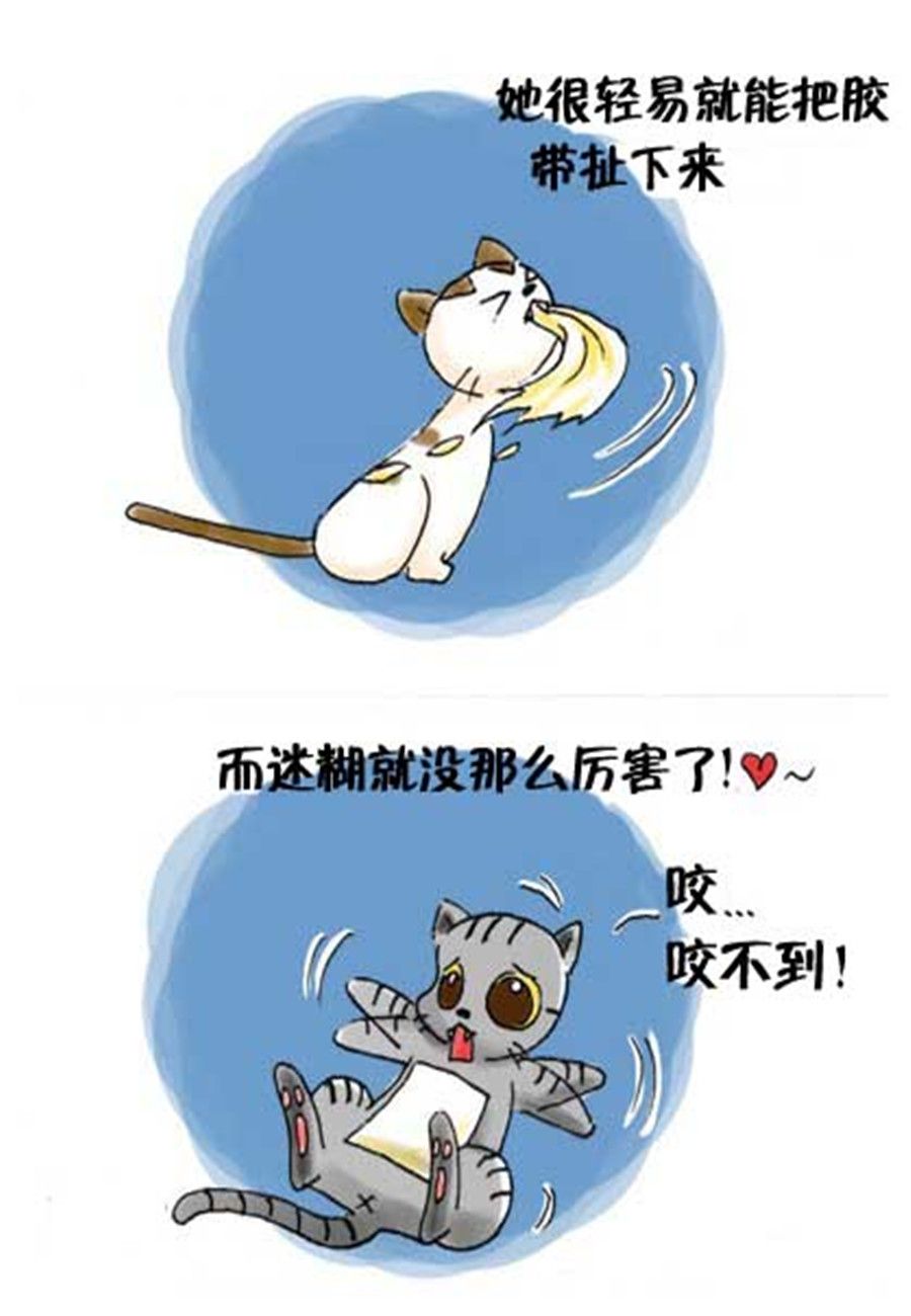 《喵喵家族》喵喵家族 第20集 第5页