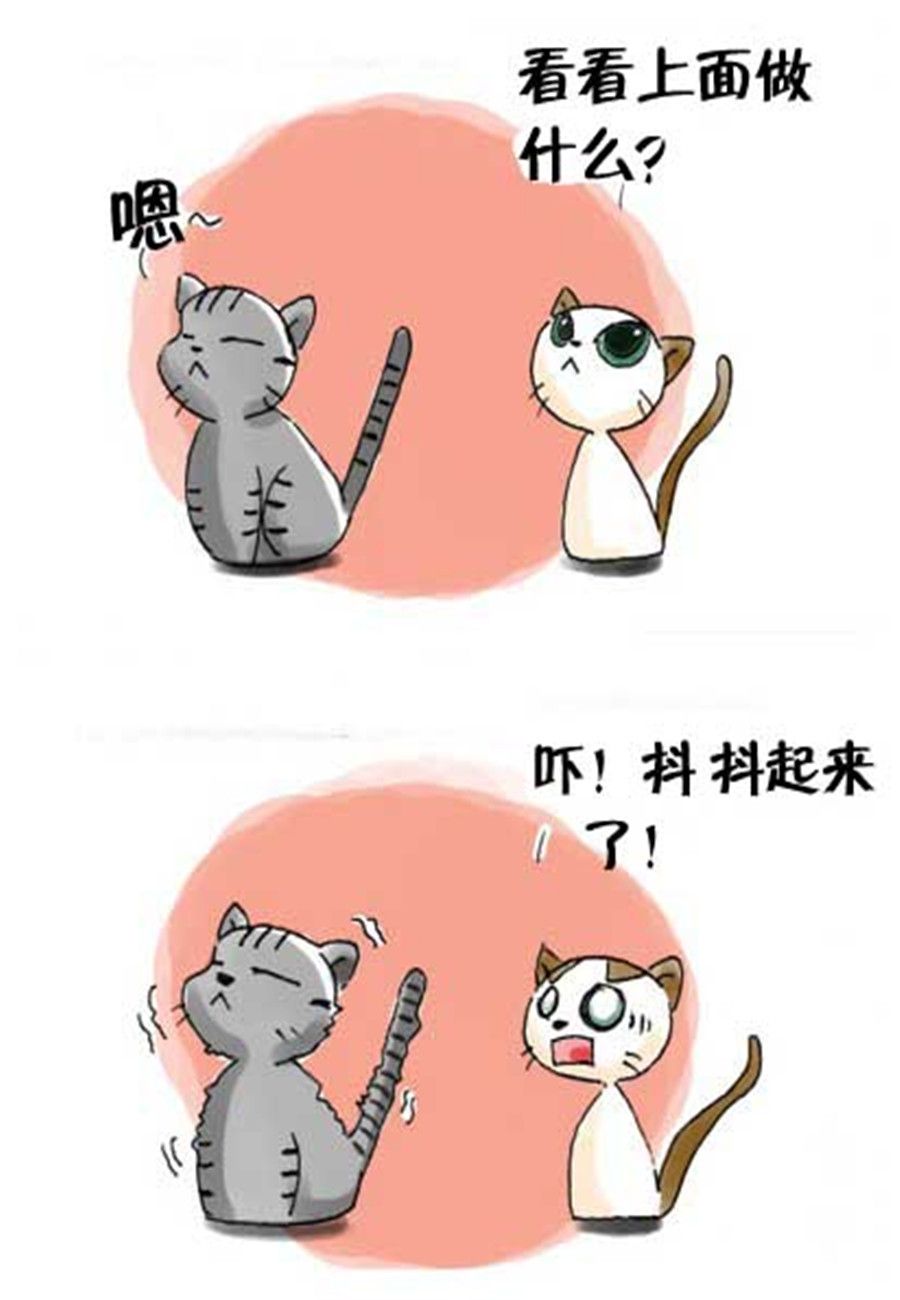 《喵喵家族》喵喵家族 第20集 第6页