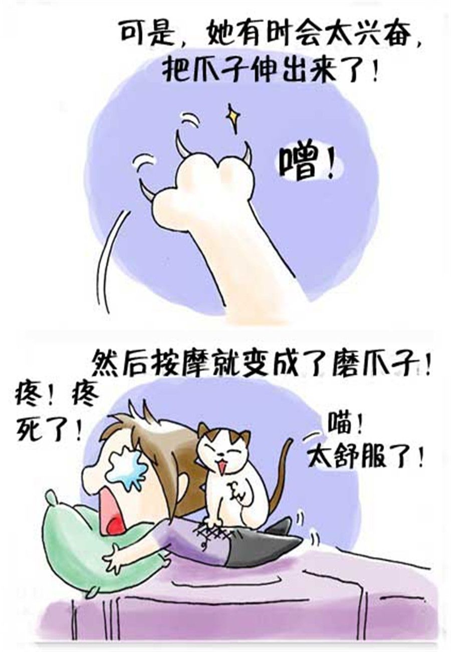 《喵喵家族》喵喵家族 第22集 第3页