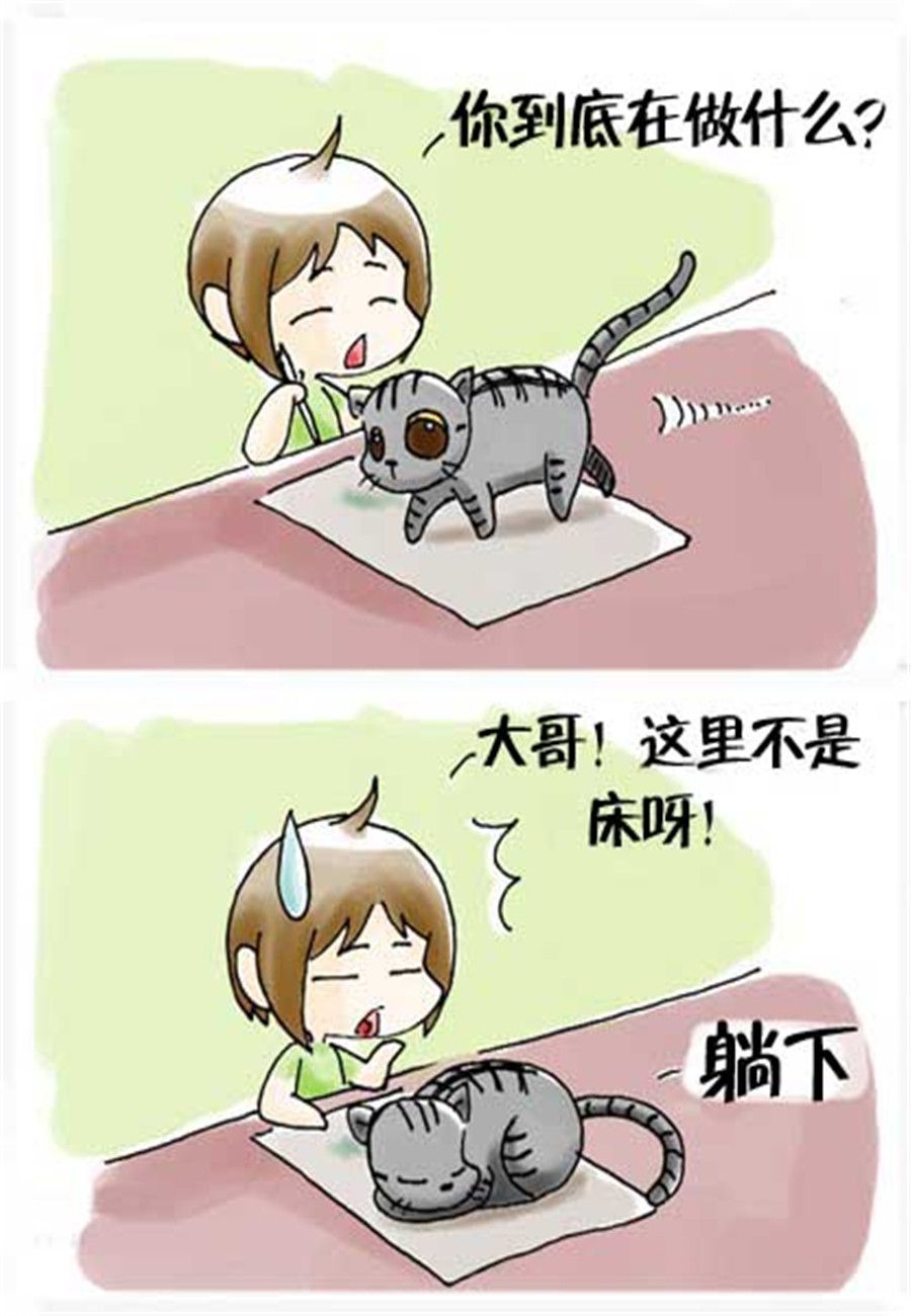 《喵喵家族》喵喵家族 第22集 第5页
