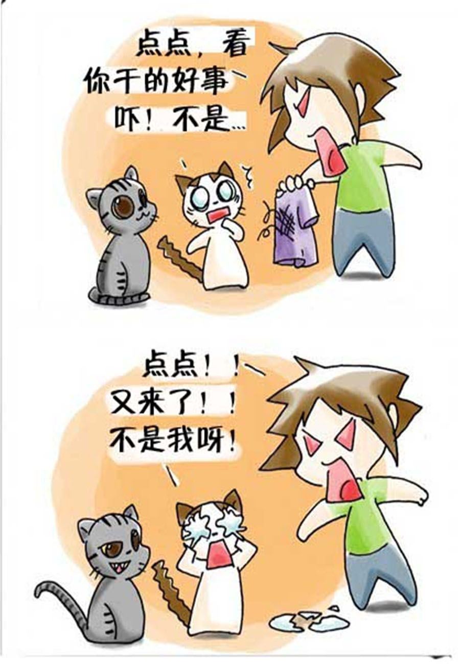 《喵喵家族》喵喵家族 第23集 第6页