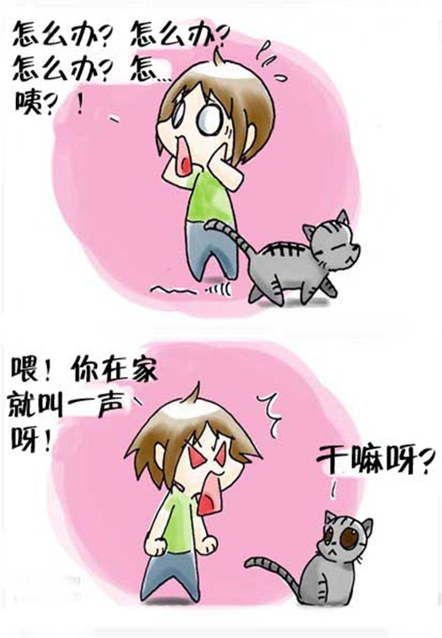 《喵喵家族》喵喵家族 第24集 第3页