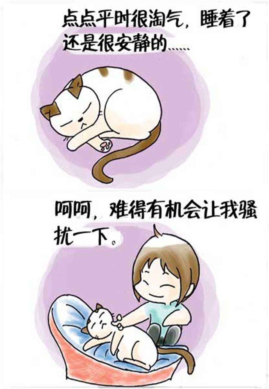 《喵喵家族》喵喵家族 第24集 第6页
