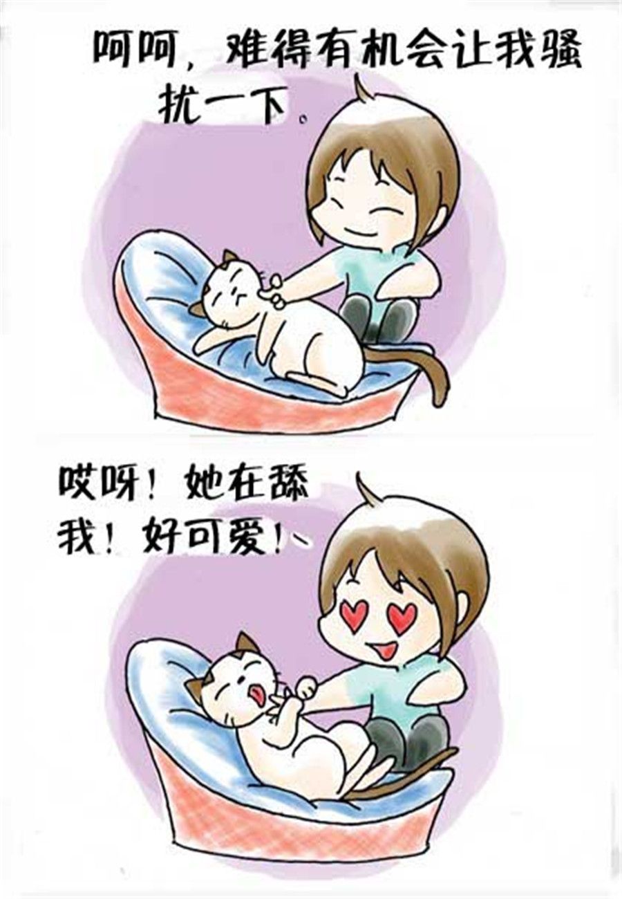 《喵喵家族》喵喵家族 第24集 第7页