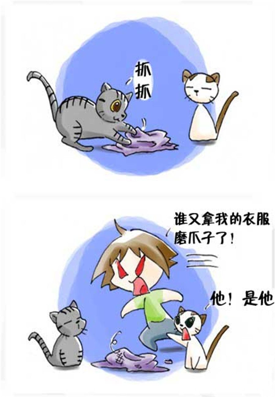 《喵喵家族》喵喵家族 第21集 第2页