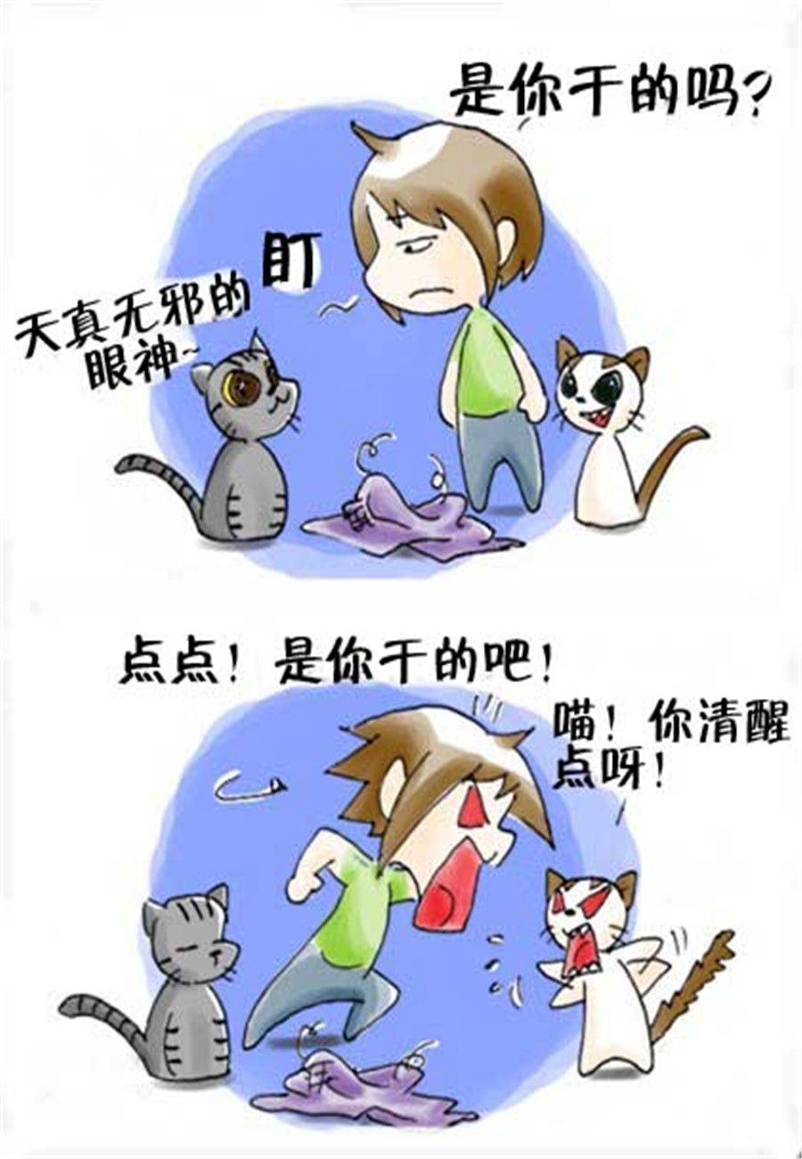 《喵喵家族》喵喵家族 第21集 第3页