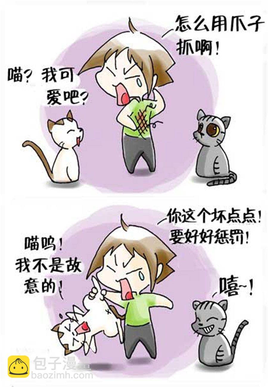 《喵喵家族》喵喵家族 第21集 第7页
