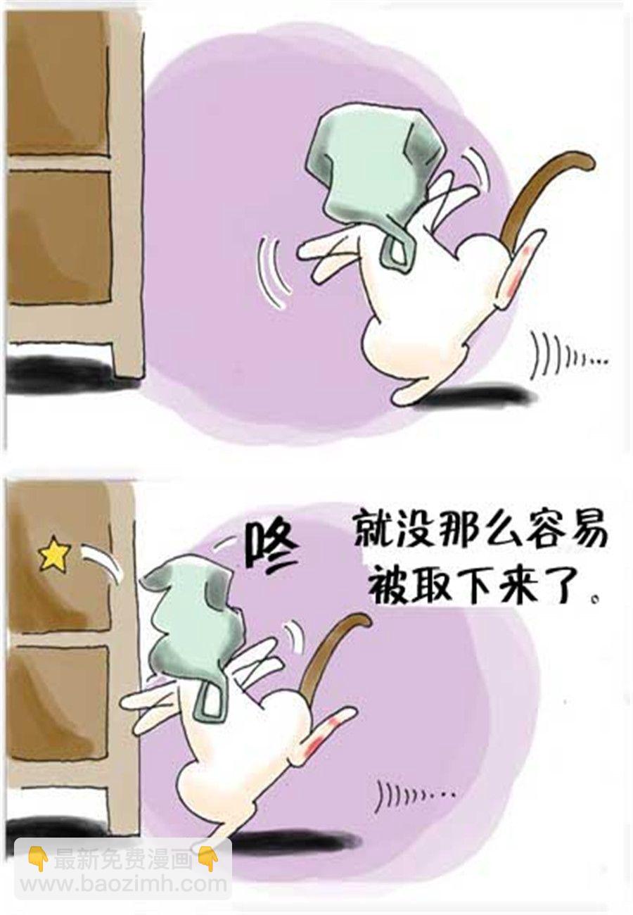 《喵喵家族》喵喵家族 第23集 第5页