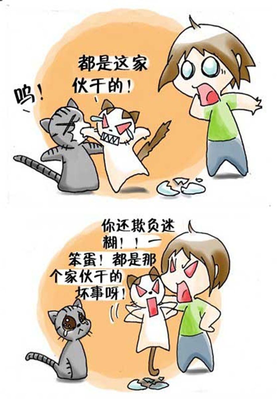 《喵喵家族》喵喵家族 第23集 第7页