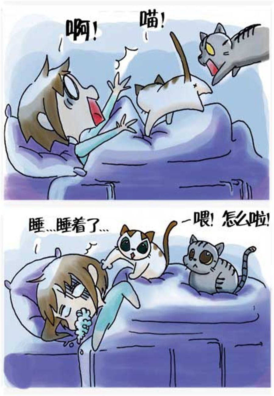 《喵喵家族》喵喵家族 第25集 第3页