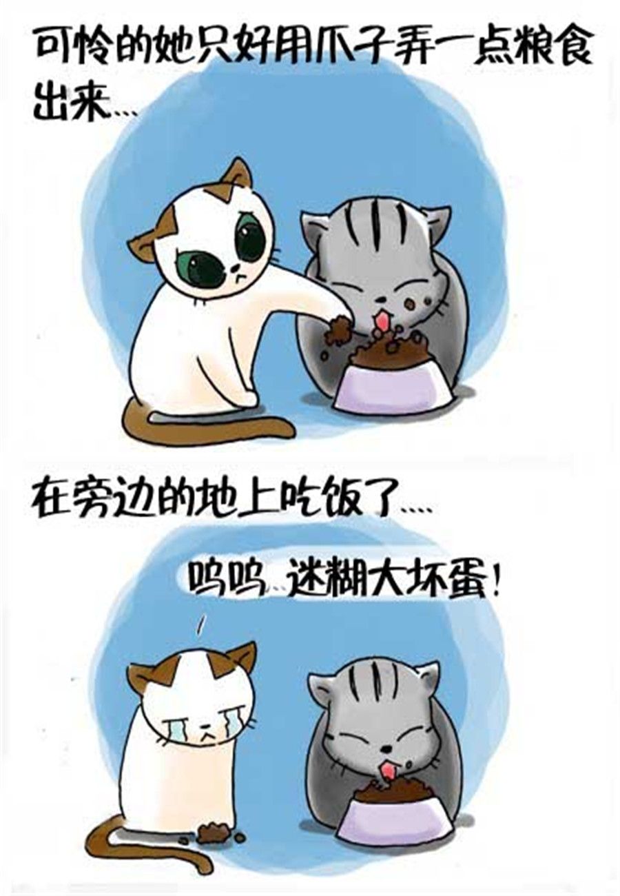 《喵喵家族》喵喵家族 第25集 第7页