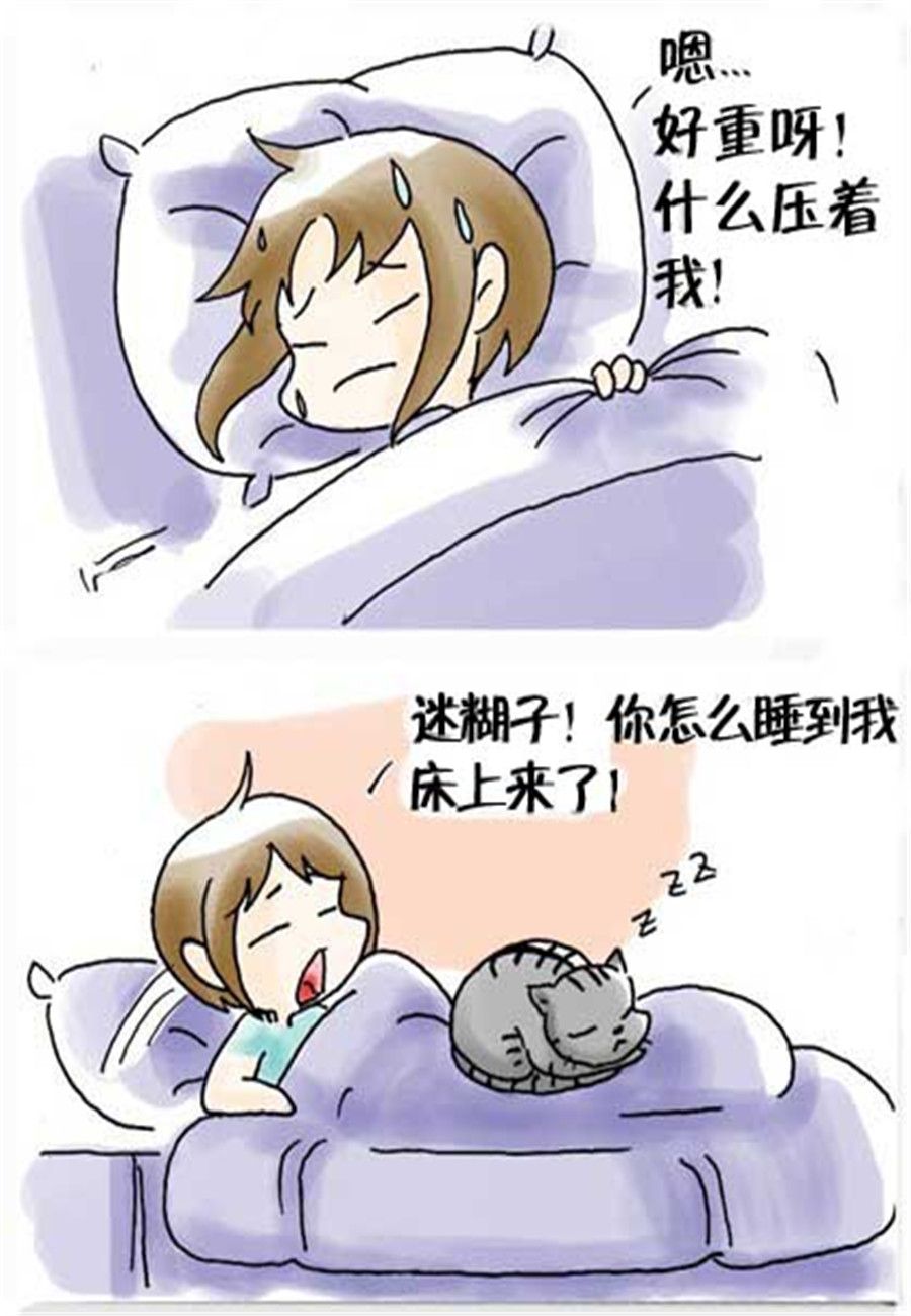 《喵喵家族》喵喵家族 第24集 第4页