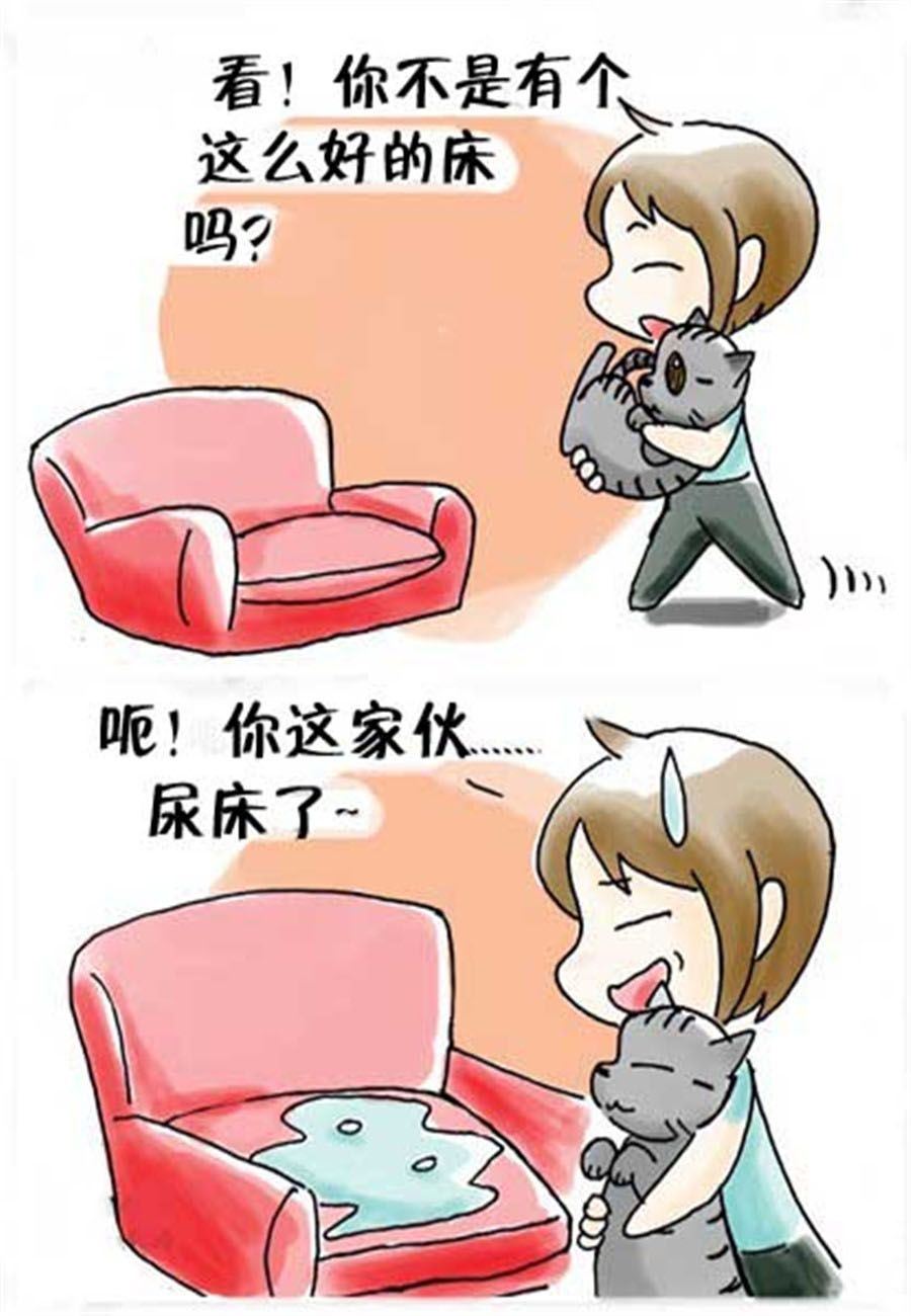 《喵喵家族》喵喵家族 第24集 第5页