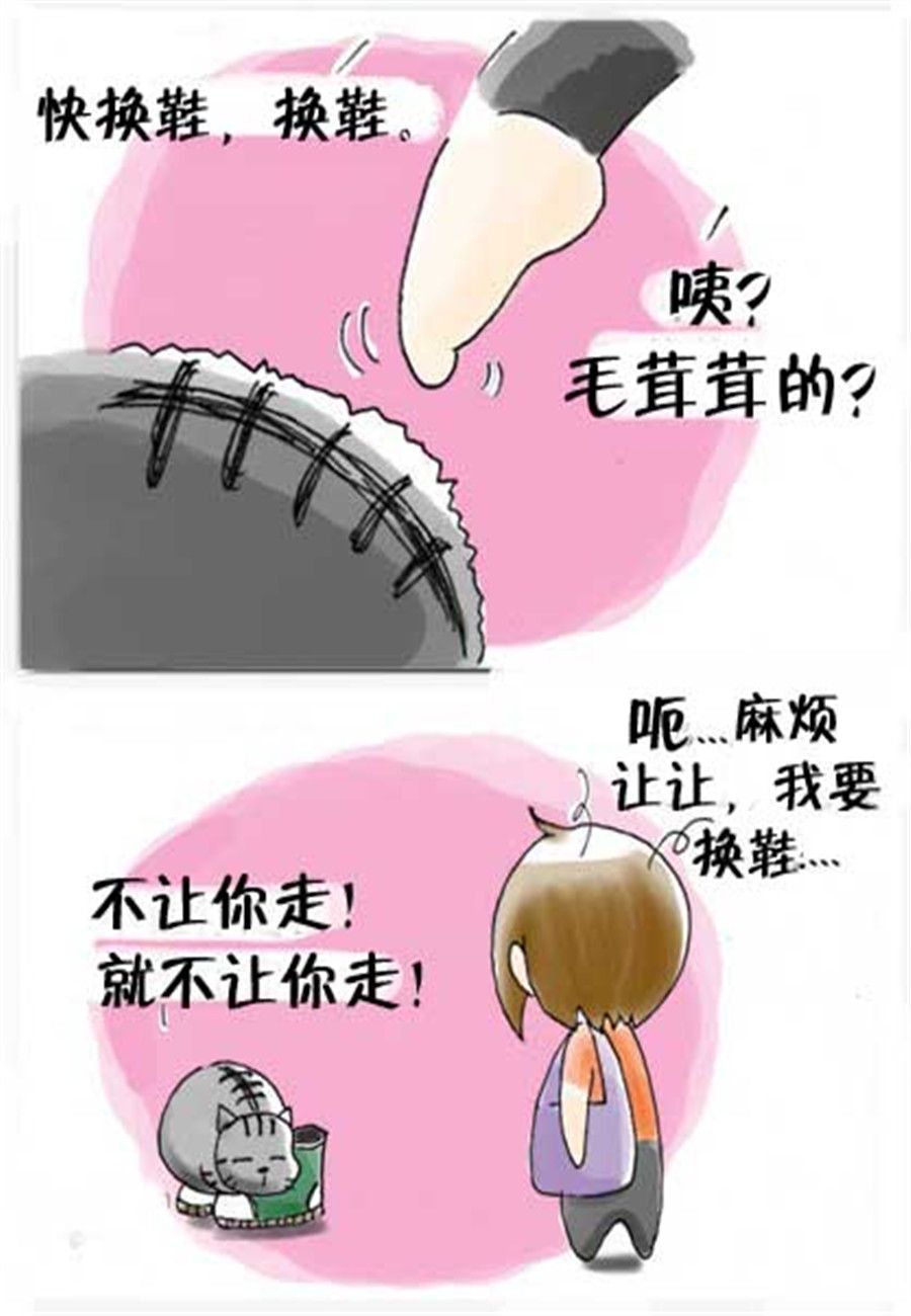《喵喵家族》喵喵家族 第21集 第5页
