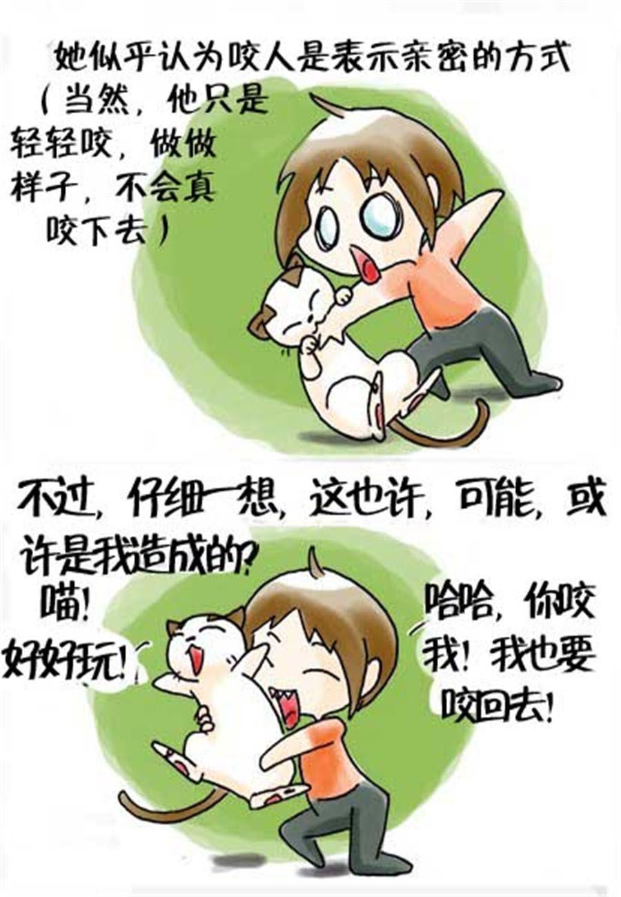 《喵喵家族》喵喵家族 第26集 第3页
