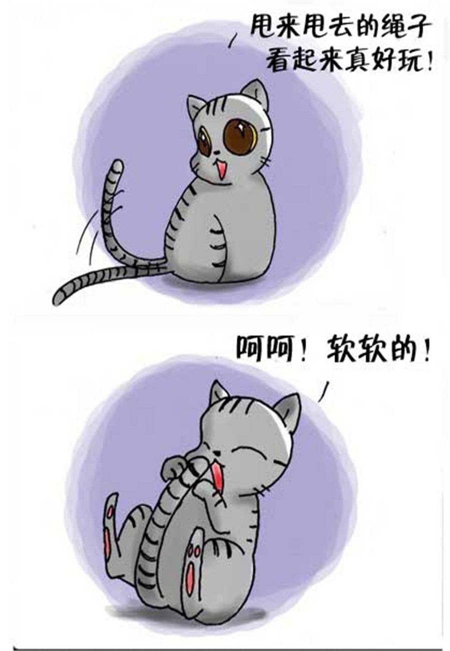 《喵喵家族》喵喵家族 第25集 第4页