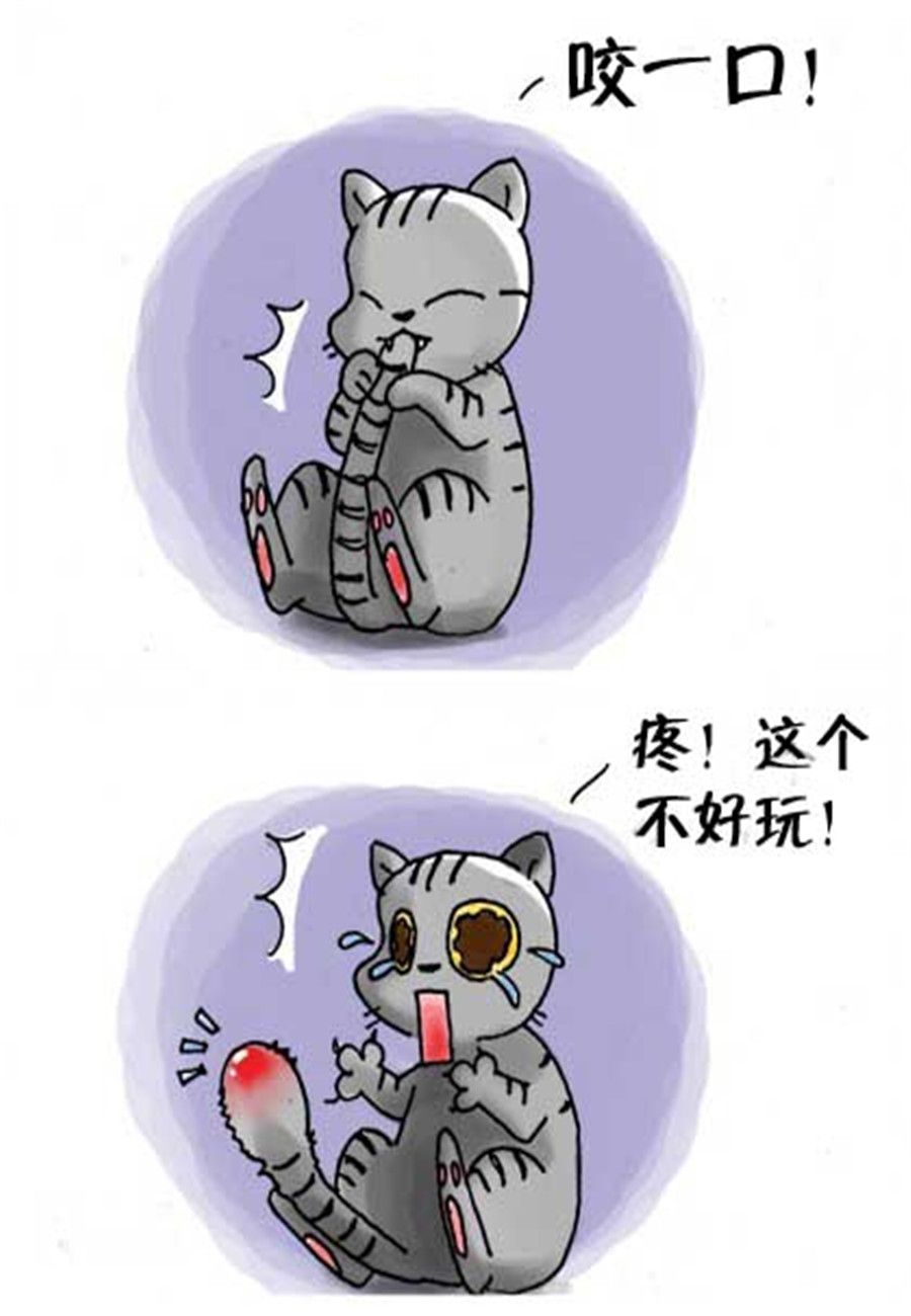 《喵喵家族》喵喵家族 第25集 第5页
