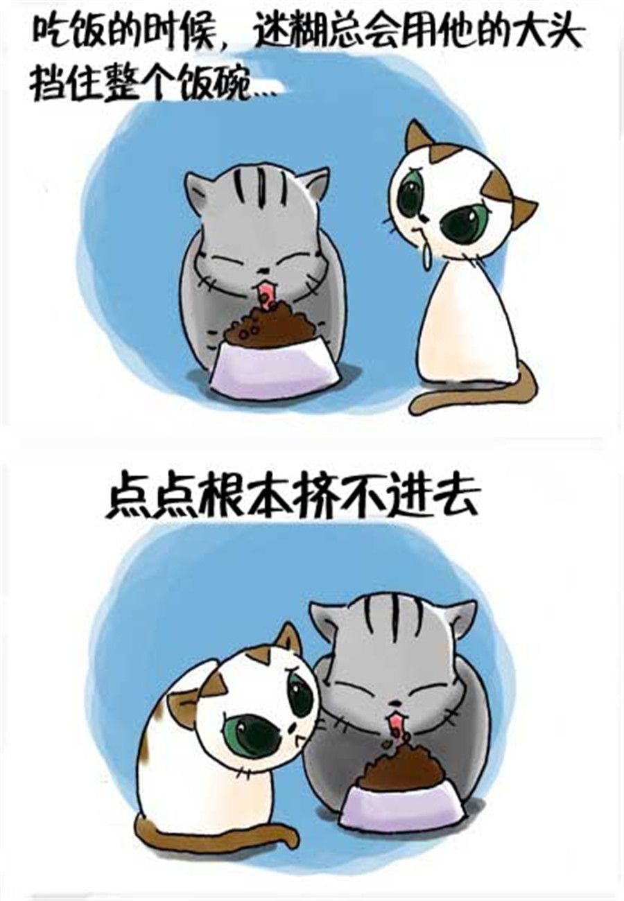 《喵喵家族》喵喵家族 第25集 第6页