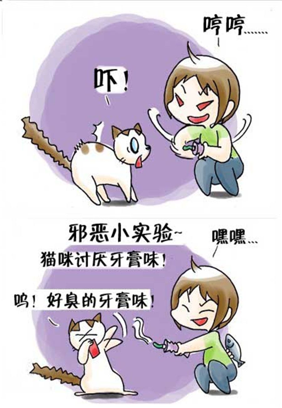 《喵喵家族》喵喵家族 第28集 第7页