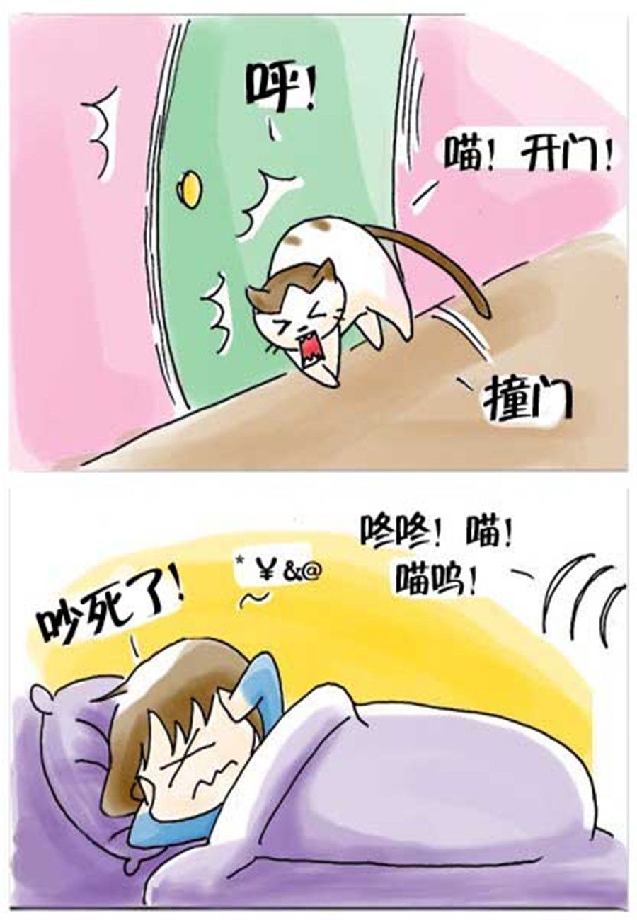《喵喵家族》喵喵家族 第27集 第7页