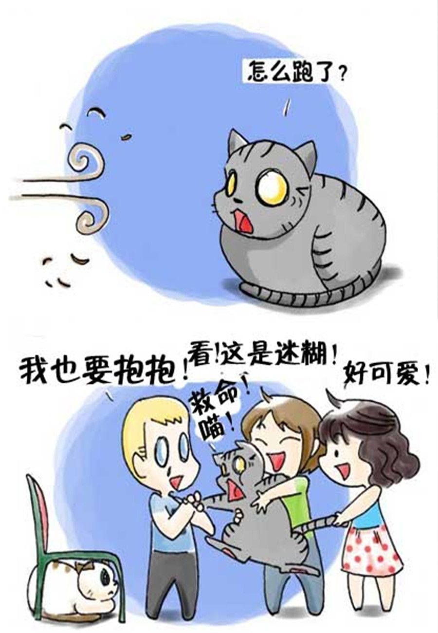 《喵喵家族》喵喵家族 第32集 第3页
