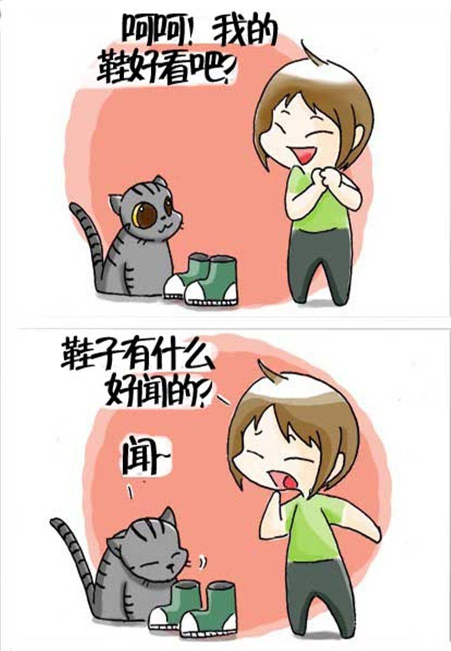 《喵喵家族》喵喵家族 第31集 第2页