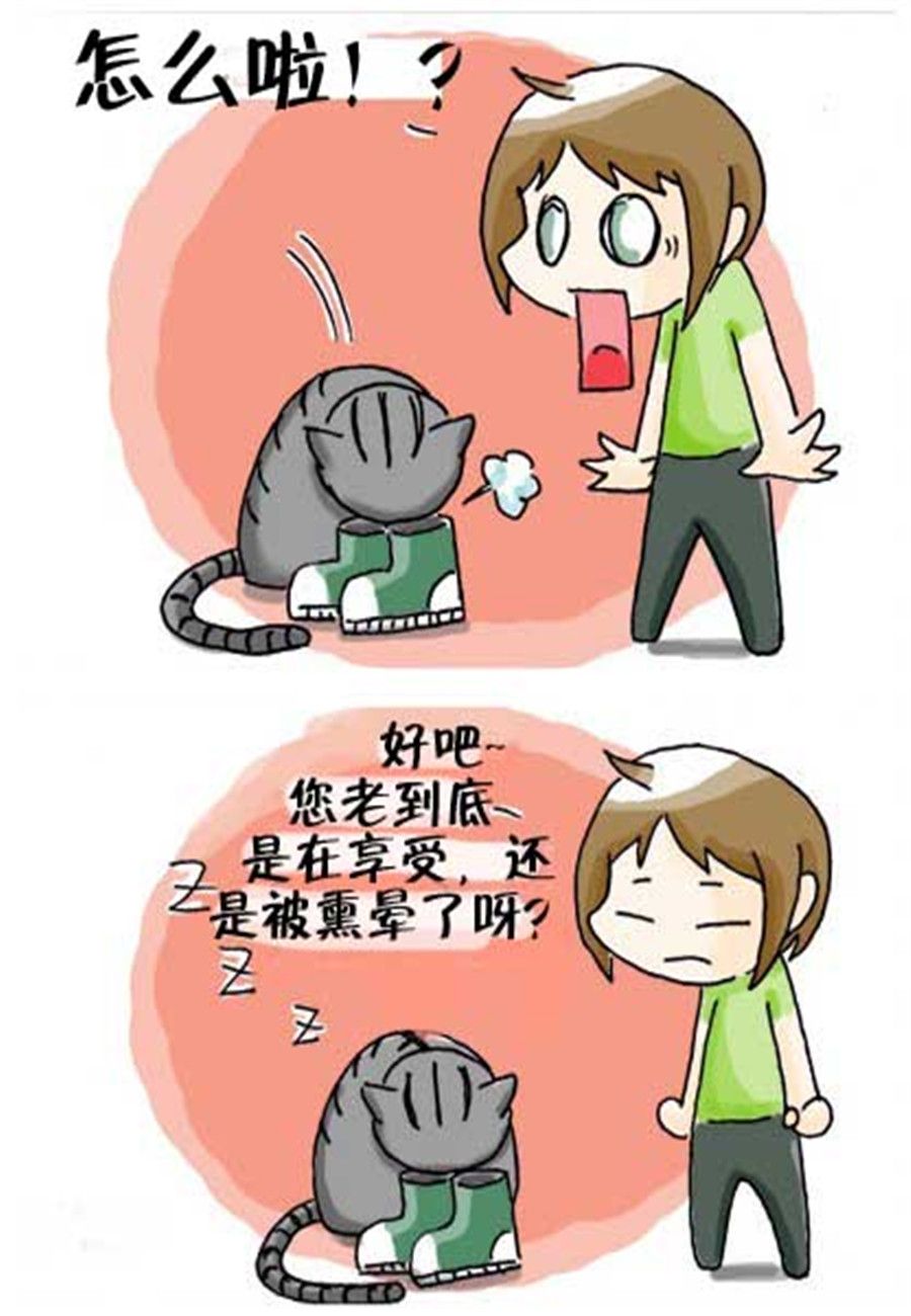 《喵喵家族》喵喵家族 第31集 第3页