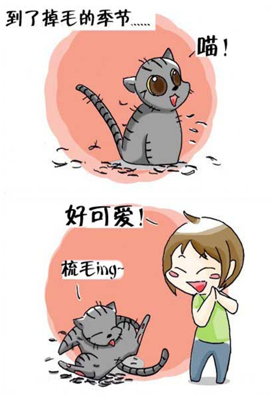 《喵喵家族》喵喵家族 第31集 第4页