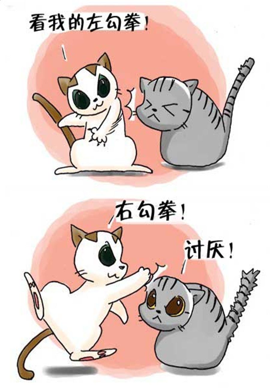 《喵喵家族》喵喵家族 第29集 第2页