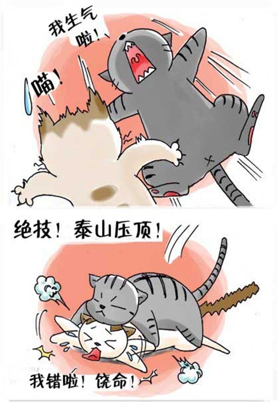 《喵喵家族》喵喵家族 第29集 第3页