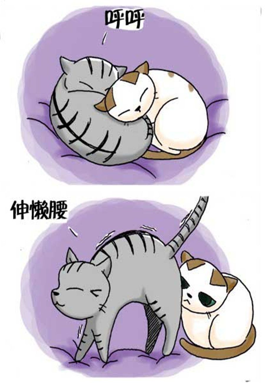 《喵喵家族》喵喵家族 第29集 第6页