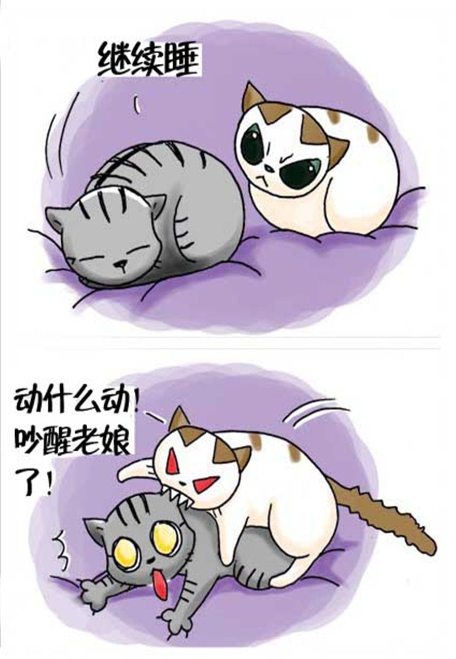 《喵喵家族》喵喵家族 第29集 第7页