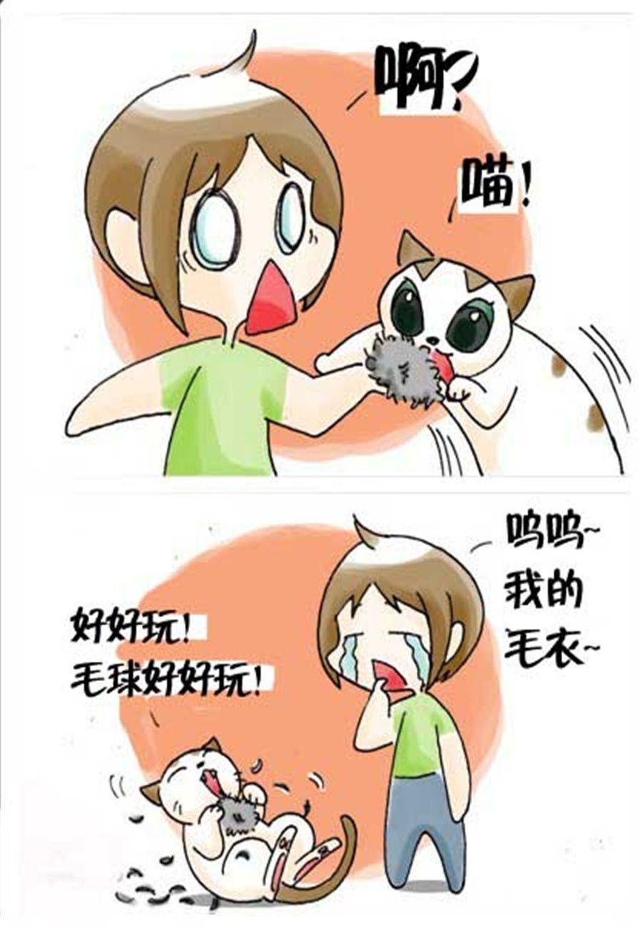 《喵喵家族》喵喵家族 第31集 第7页