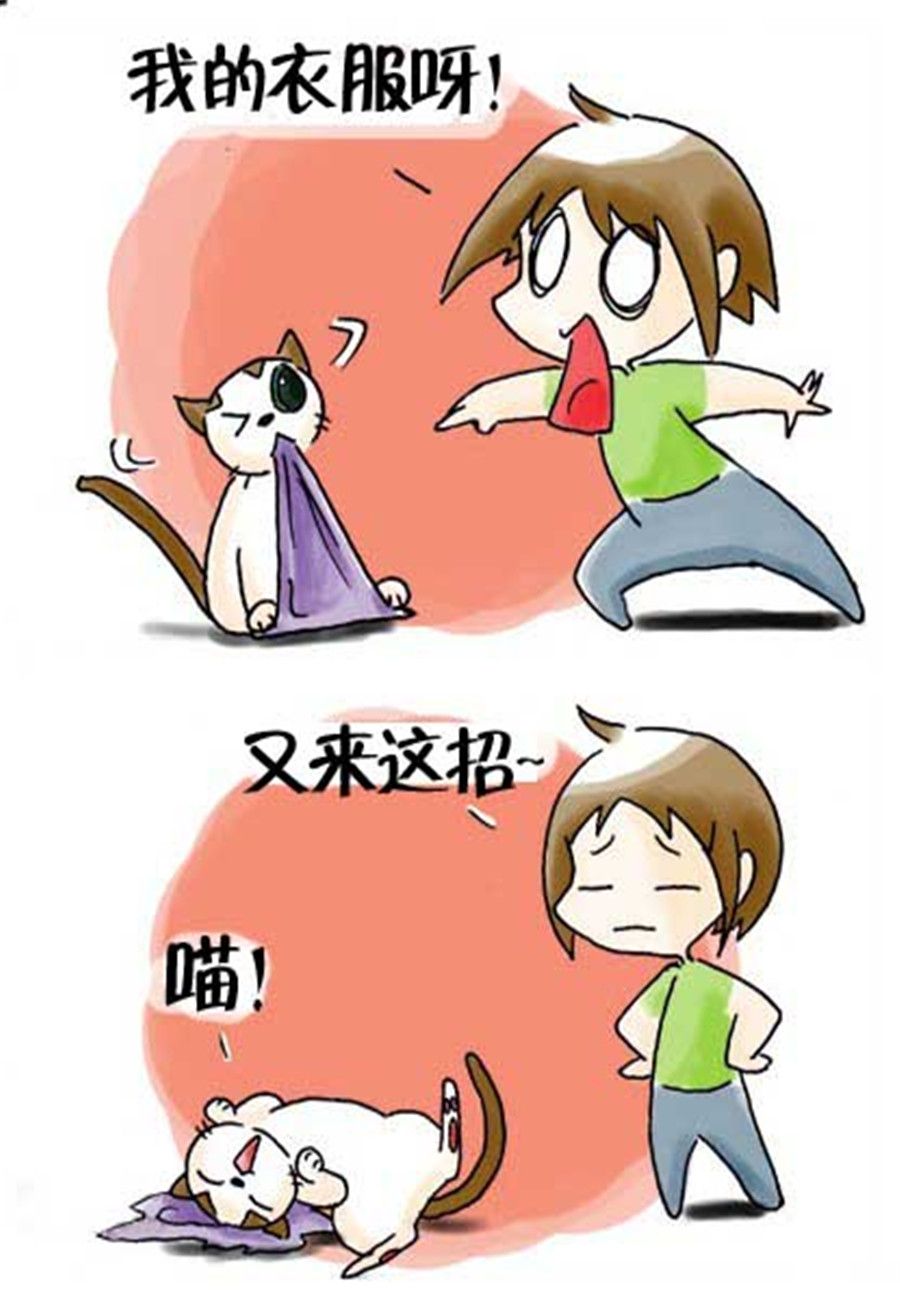 《喵喵家族》喵喵家族 第30集 第5页