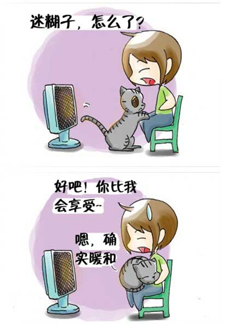 《喵喵家族》喵喵家族 第33集 第3页