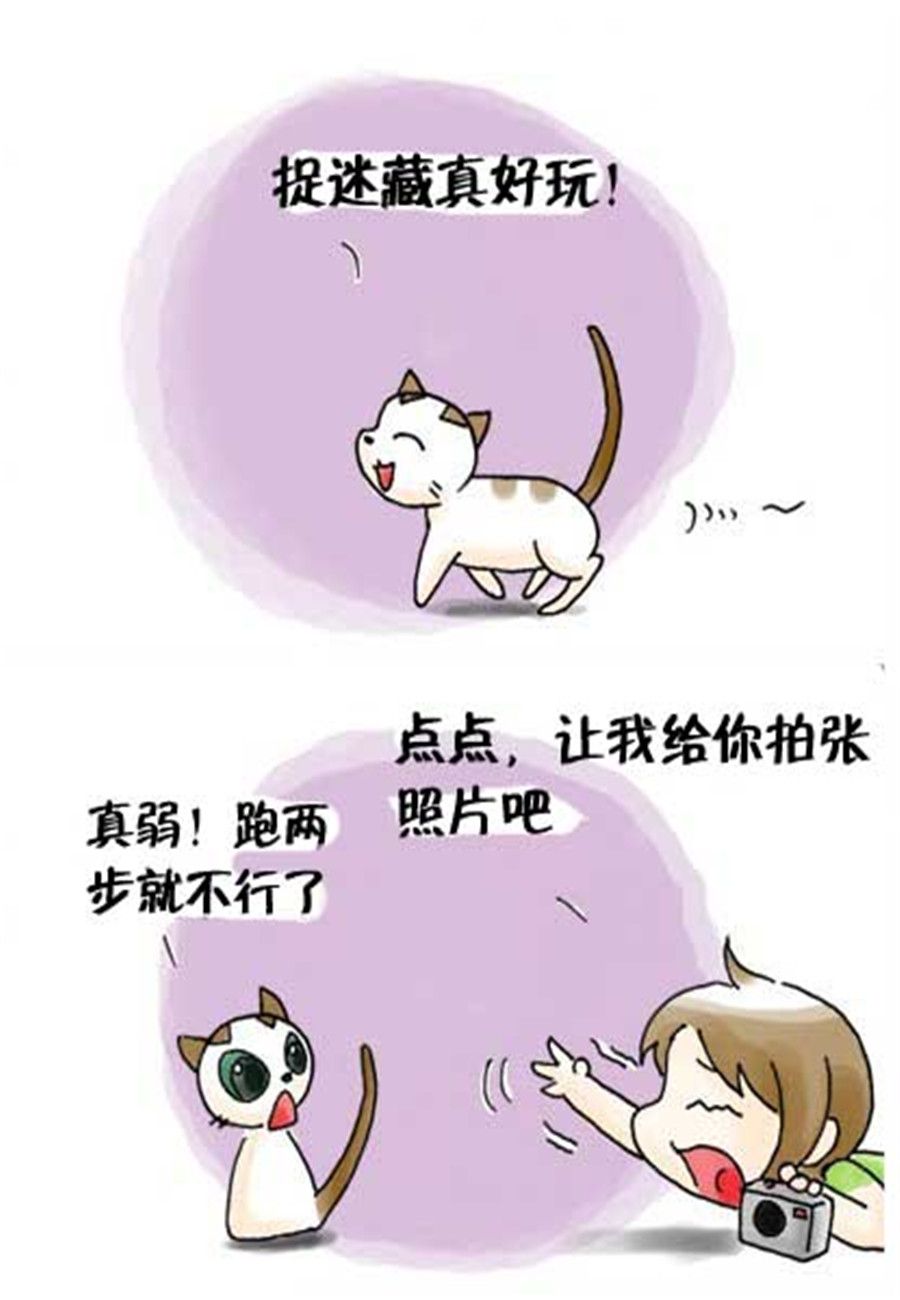 《喵喵家族》喵喵家族 第33集 第5页