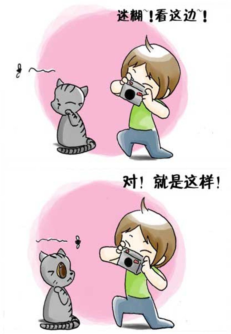 《喵喵家族》喵喵家族 第33集 第6页