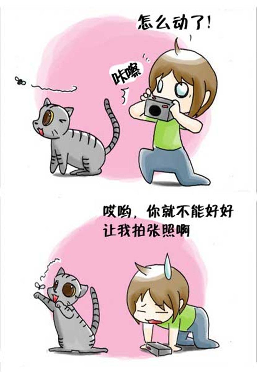 《喵喵家族》喵喵家族 第33集 第7页