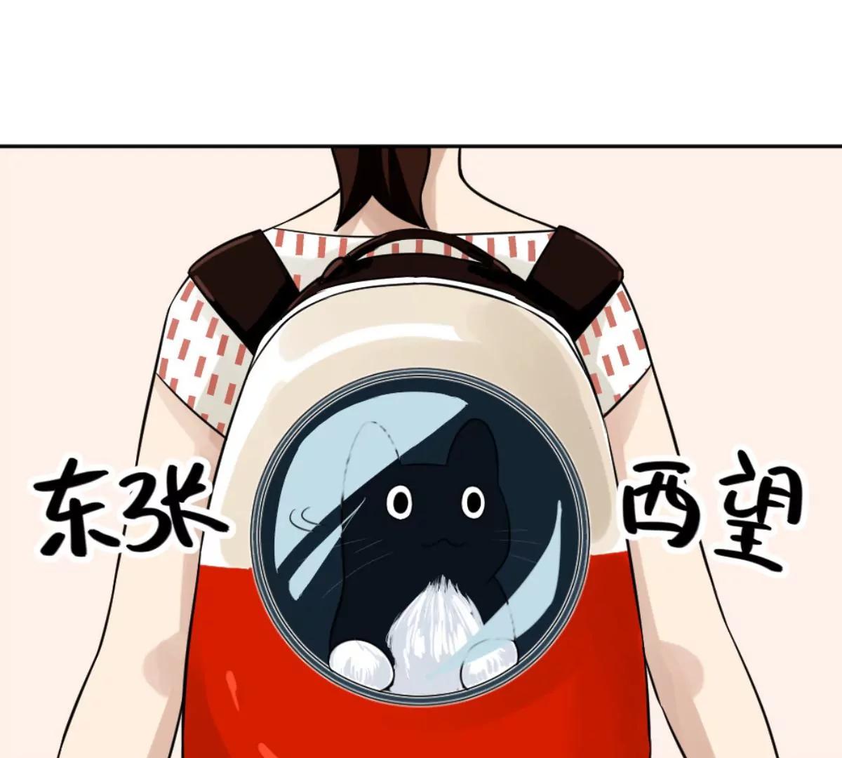 《武汉美食游记》铫子藕汤和番茄牛腩 第23页