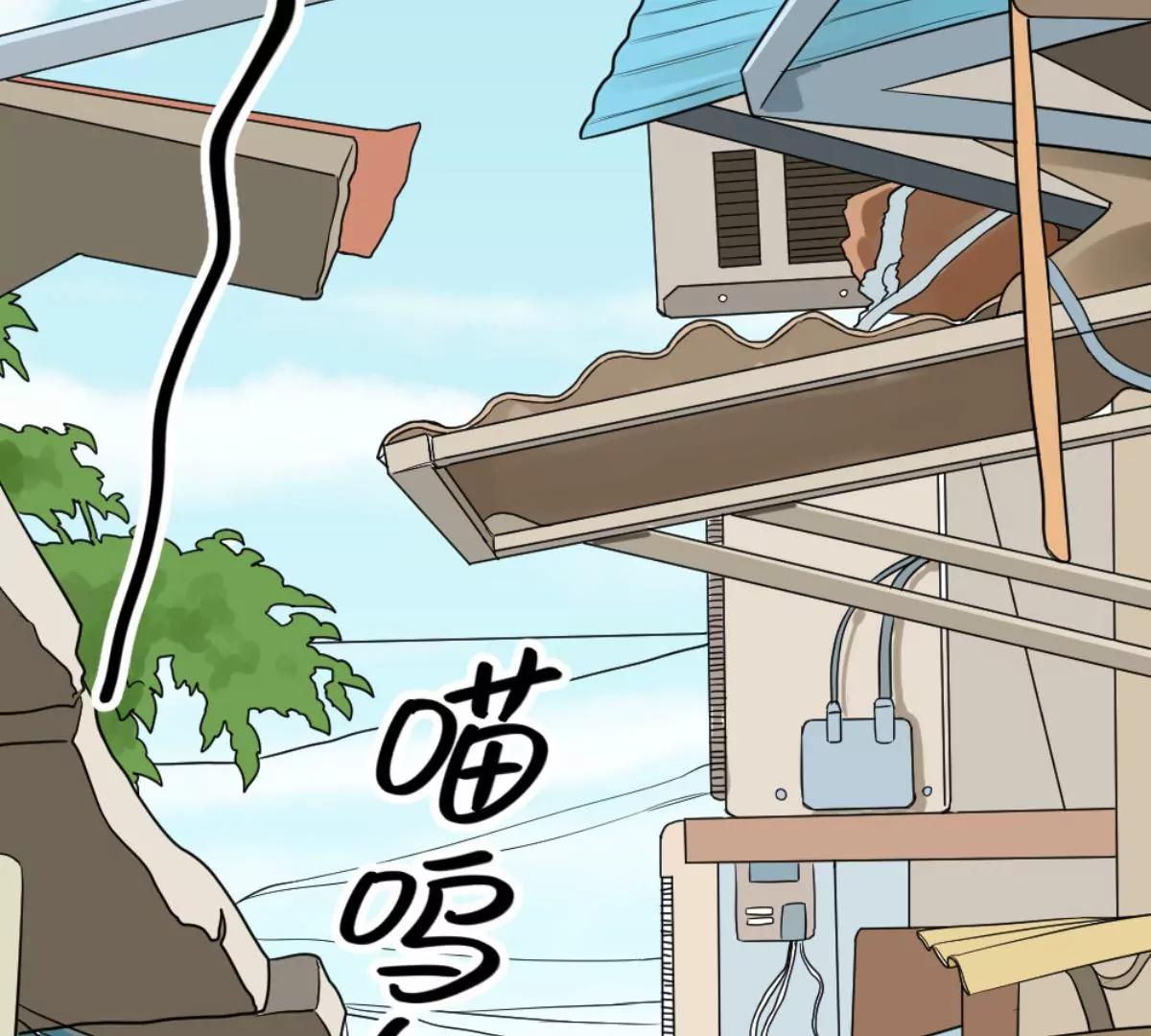 《武汉美食游记》铫子藕汤和番茄牛腩 第4页