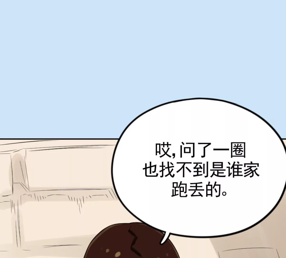 《武汉美食游记》铫子藕汤和番茄牛腩 第10页
