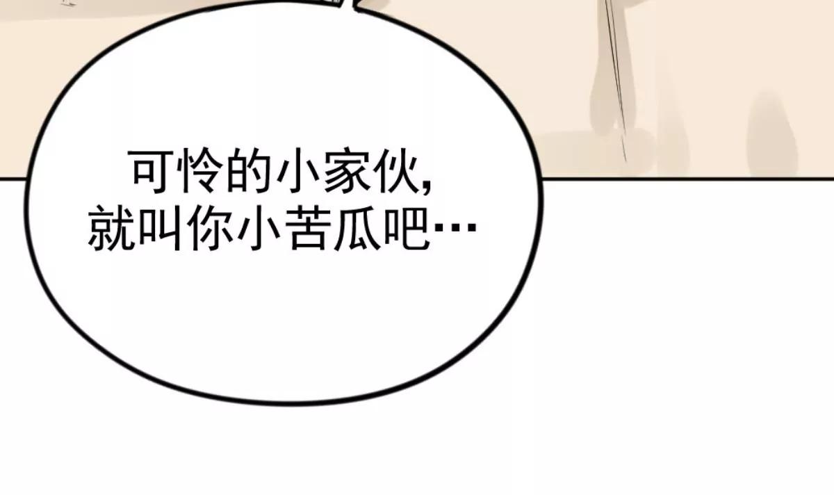 《武汉美食游记》铫子藕汤和番茄牛腩 第12页