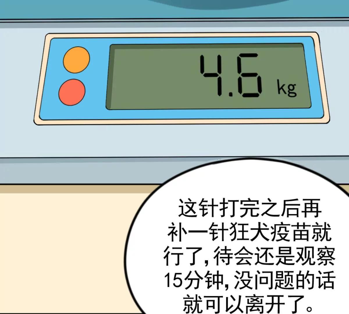 《武汉美食游记》铫子藕汤和番茄牛腩 第20页