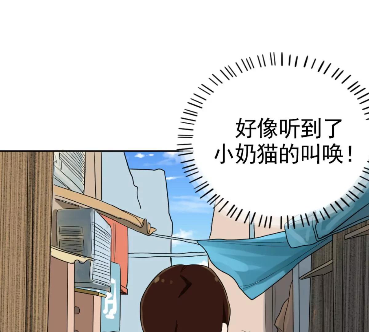 《武汉美食游记》铫子藕汤和番茄牛腩 第7页