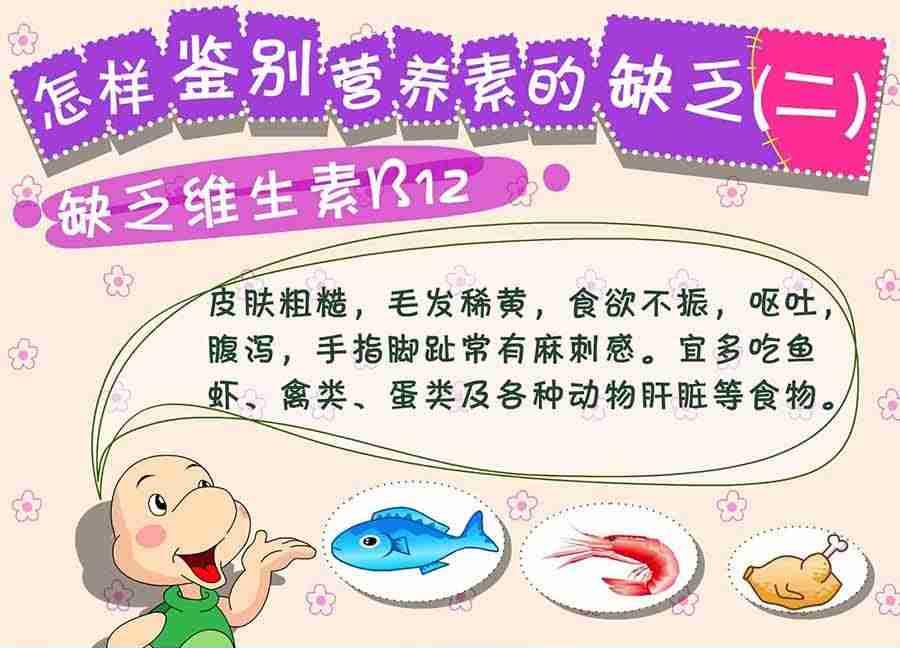《养生宝典》养生宝典 第3集 第4页