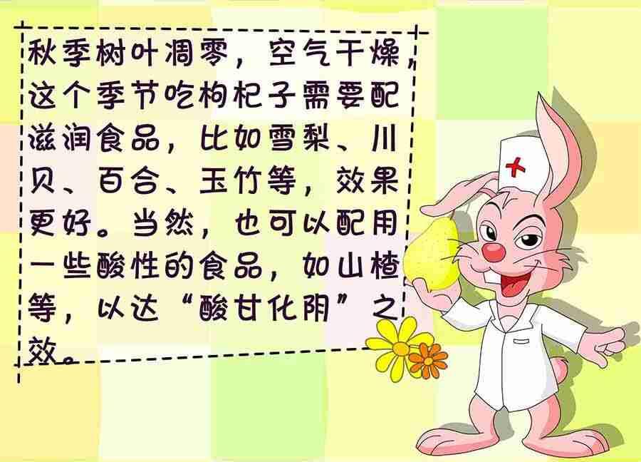 《养生宝典》养生宝典 第3集 第31页