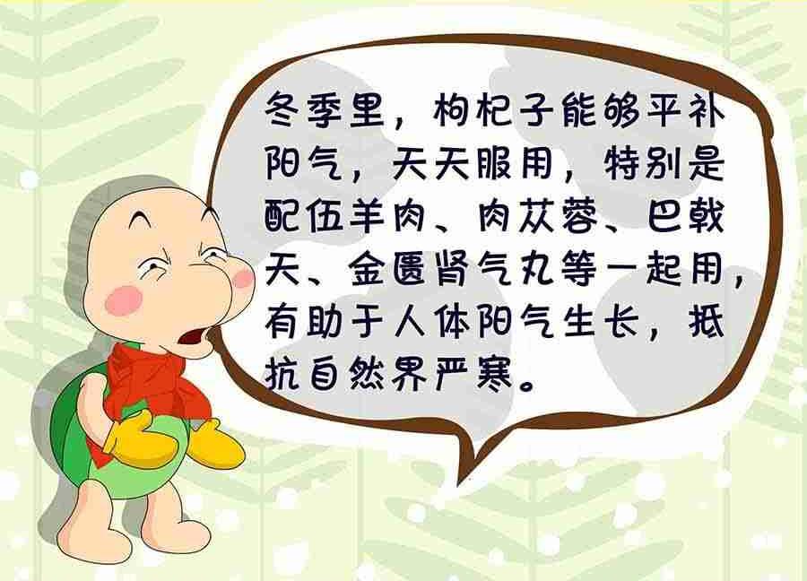《养生宝典》养生宝典 第3集 第32页