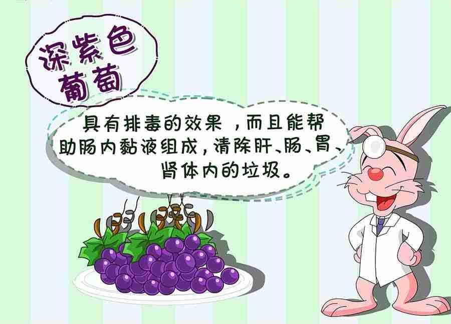 《养生宝典》养生宝典 第5集 第28页