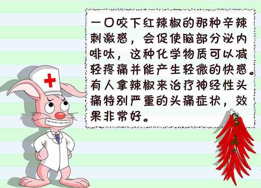 《养生宝典》养生宝典 第6集 第13页