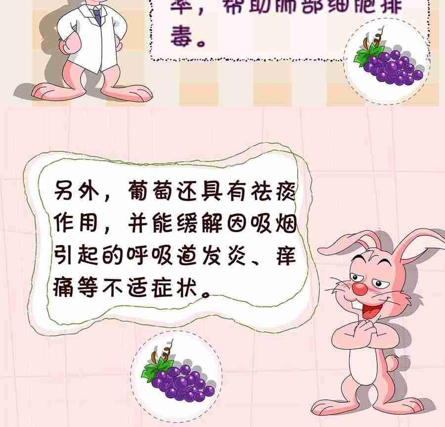 《养生宝典》养生宝典 第6集 第50页